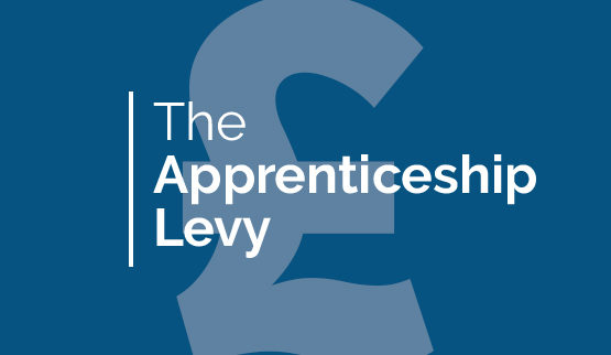 Making sense of the Apprenticeship Levy