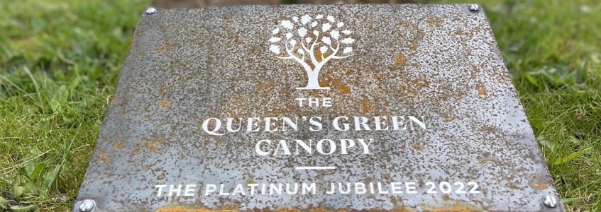 Leicester College plants tree as part of the 'Queen's Green Canopy' project