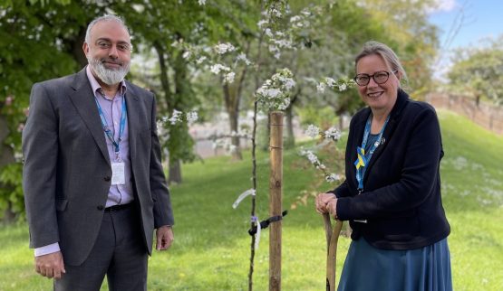 Leicester College plants tree as part of t…